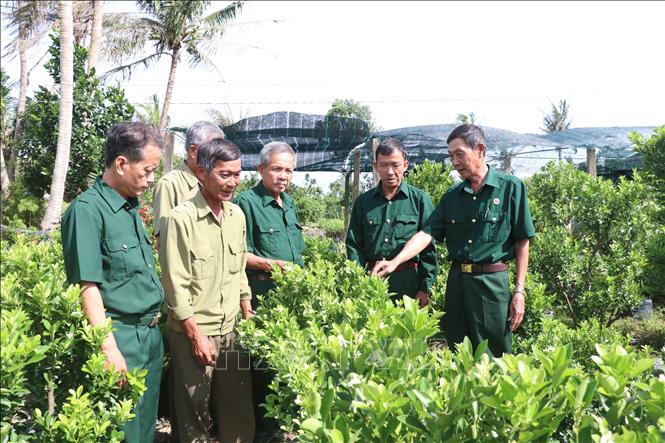 Mô hình '5+1' tạo bước đà cho các cựu chiến binh vươn lên