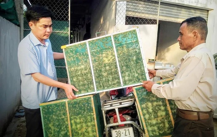 'Vua bò cạp' lên dĩa cùng 10 loài côn trùng nức tiếng ở Nghệ An