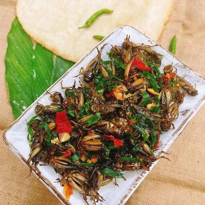 'Vua bò cạp' lên dĩa cùng 10 loài côn trùng nức tiếng ở Nghệ An