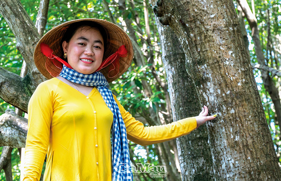 Gốc đước hơn 60 năm tuổi