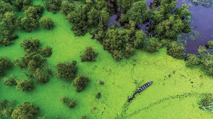 An Giang "bắt tay” Đồng Tháp phát triển văn hóa, du lịch