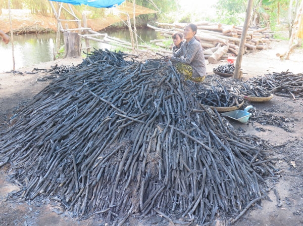 Nghề hầm than ở U Minh