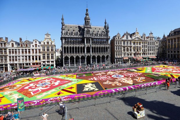 Bỉ: Thảm hoa Brussels chào đón du khách sau 2 năm vắng bóng