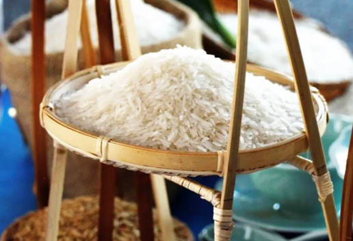 Thi thiết kế logo nhãn hiệu chứng nhận và slogan sản phẩm gạo An Giang