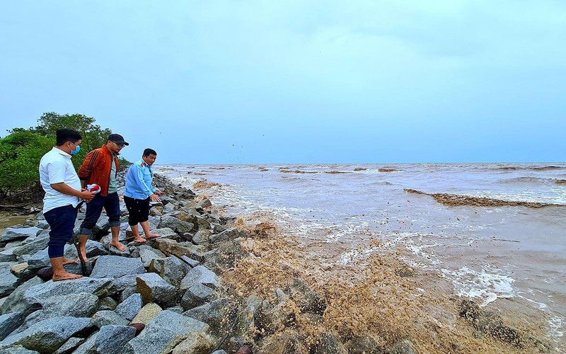 Cà Mau chống sạt lở từ xa