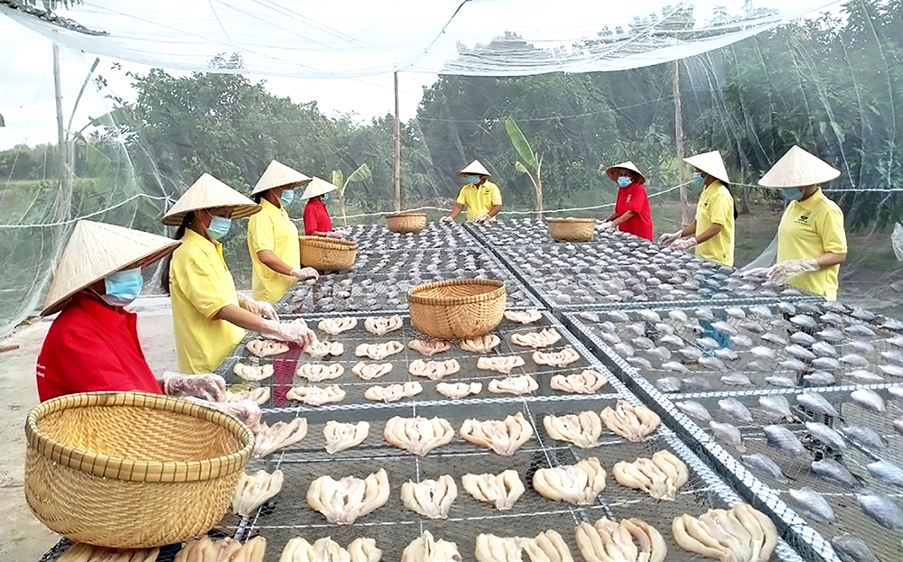 Làng khô thiếu cá nguyên liệu chế biến
