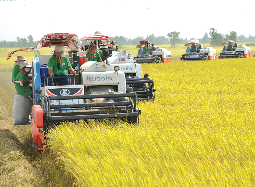 An Giang trên đường phát triển