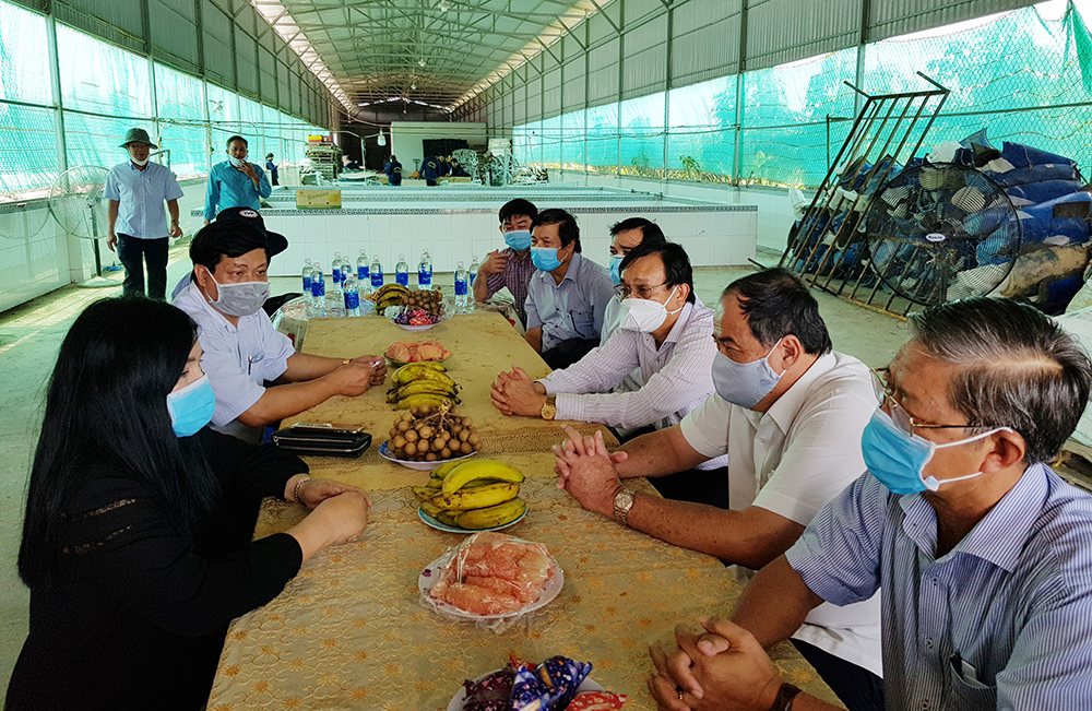Nông thôn mới Tân Tuyến