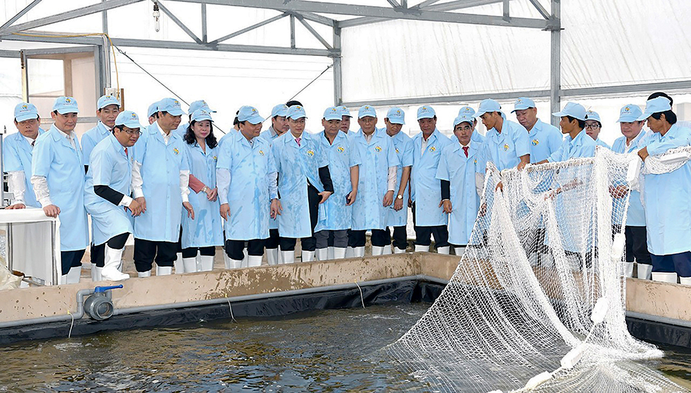 Mời gọi đầu tư, phát triển đô thị Tân Châu