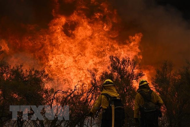 Mỹ: Cháy rừng tiếp tục lan rộng ở vùng núi miền Trung bang California