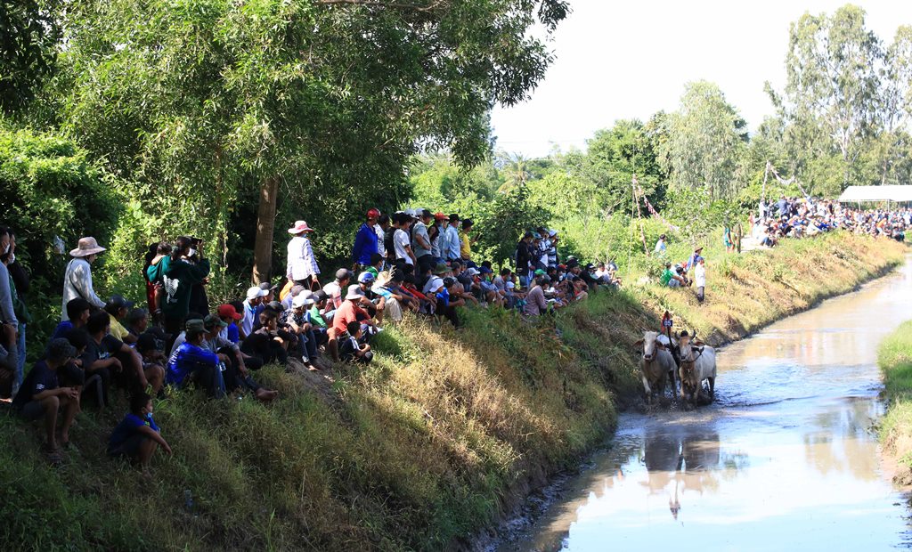 Đi hội chùa Rô