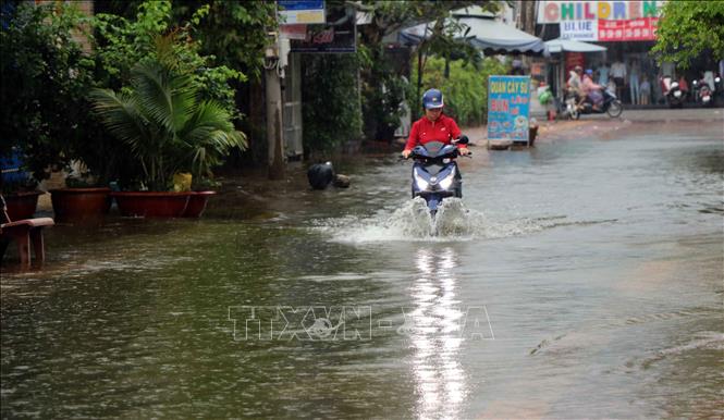 Các tỉnh, thành phố chủ động chỉ đạo phòng ngừa, ứng phó thiên tai