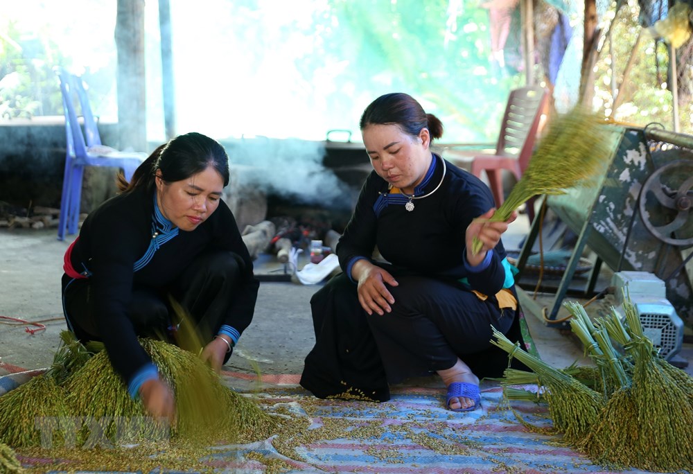 Thưởng thức hương vị cốm mới trên Cao nguyên trắng Bắc Hà