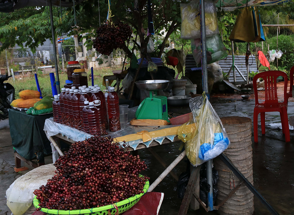 Nho rừng xuống núi