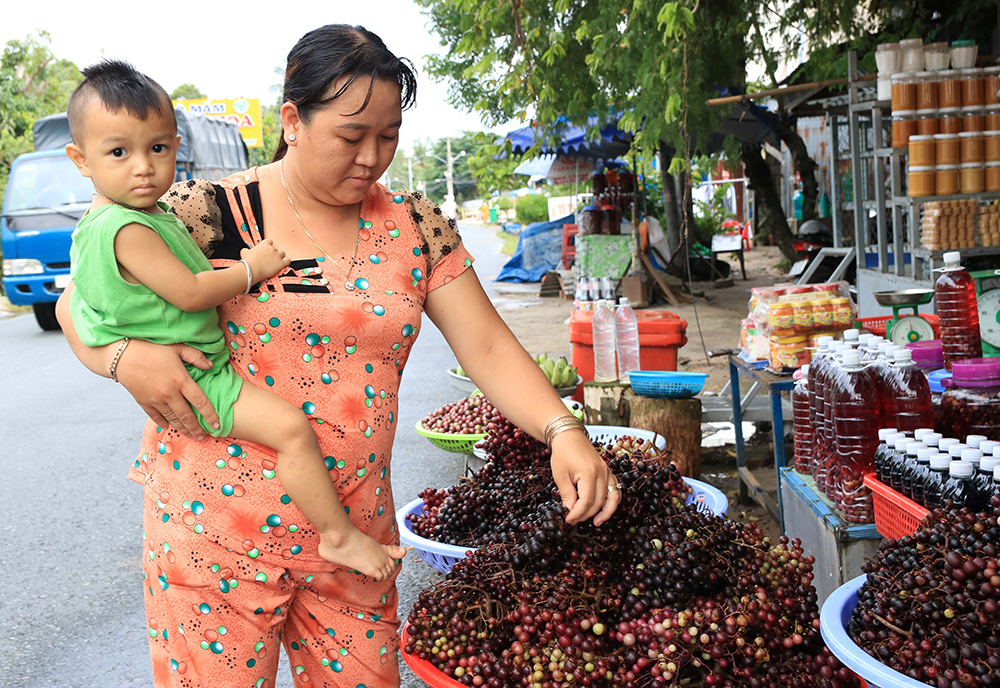 Nho rừng xuống núi