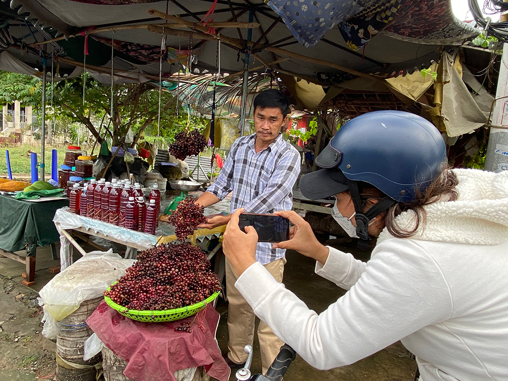Nho rừng xuống núi