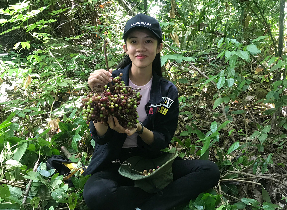 Nho rừng xuống núi