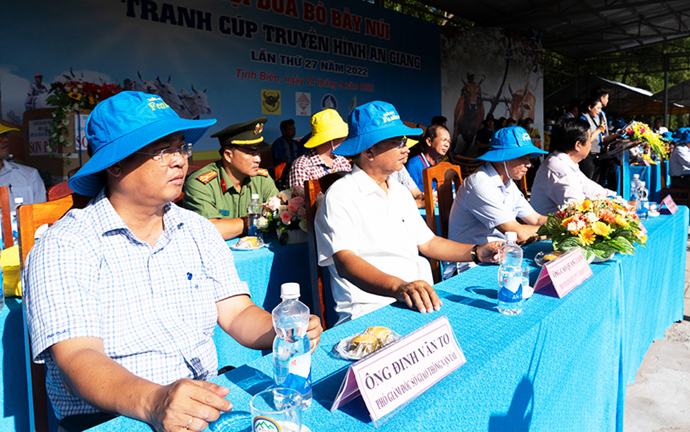 Sôi nổi Hội đua bò Bảy Núi tranh Cúp Truyền hình An Giang lần thứ 27 năm 2022