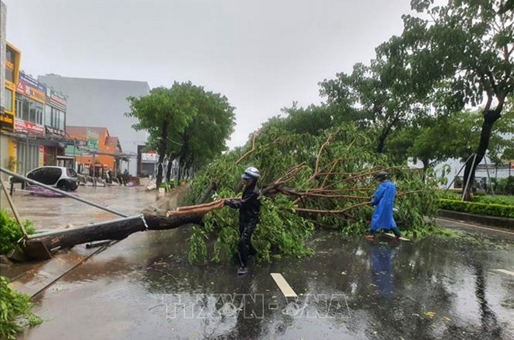 Thời tiết ngày 28/9: Bão Noru đổ bộ vào khu vực Thừa Thiên - Huế đến Quảng Ngãi, sức gió giật cấp 13