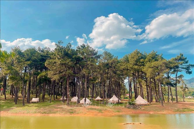 Giải thưởng quốc tế - khẳng định thương hiệu điểm đến du lịch Việt Nam