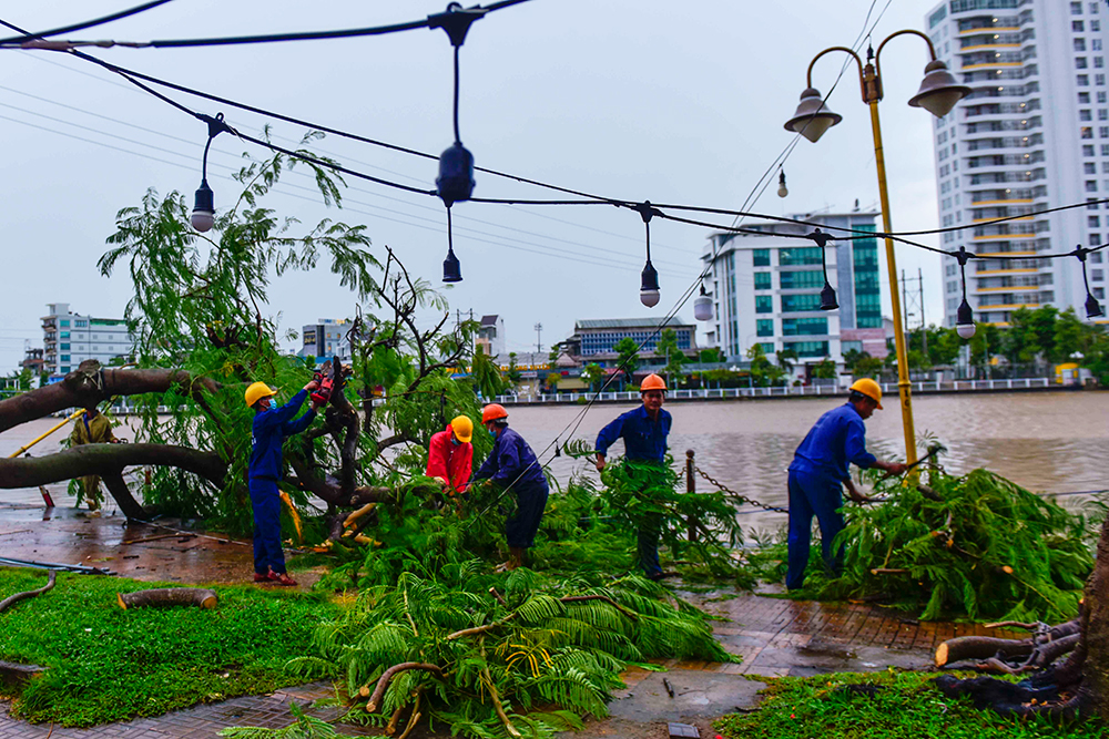 Khắc phục cây ngã đổ do ảnh hưởng cơn bão Noru