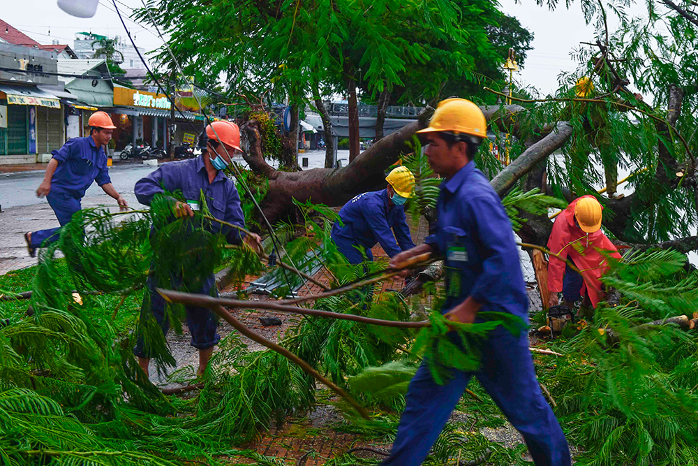 Khắc phục cây ngã đổ do ảnh hưởng cơn bão Noru