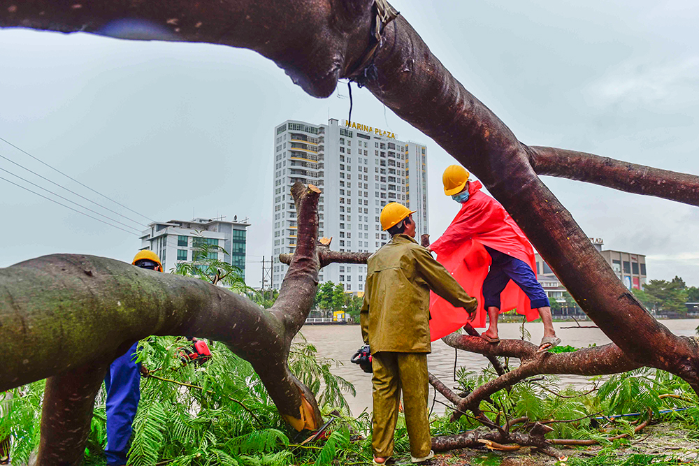 Khắc phục cây ngã đổ do ảnh hưởng cơn bão Noru