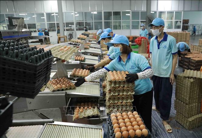 Kinh tế 9 tháng: Ngành nông nghiệp tăng tốc sản xuất để về đích vượt kế hoạch