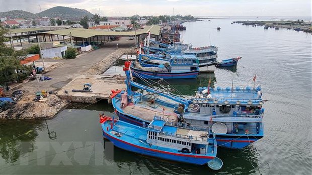 Giai đoạn nước rút hoàn thiện hồ sơ truy xuất nguồn gốc thủy sản