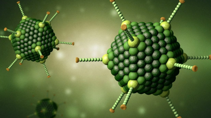 Những biến chứng nguy hiểm từ Adeno virus