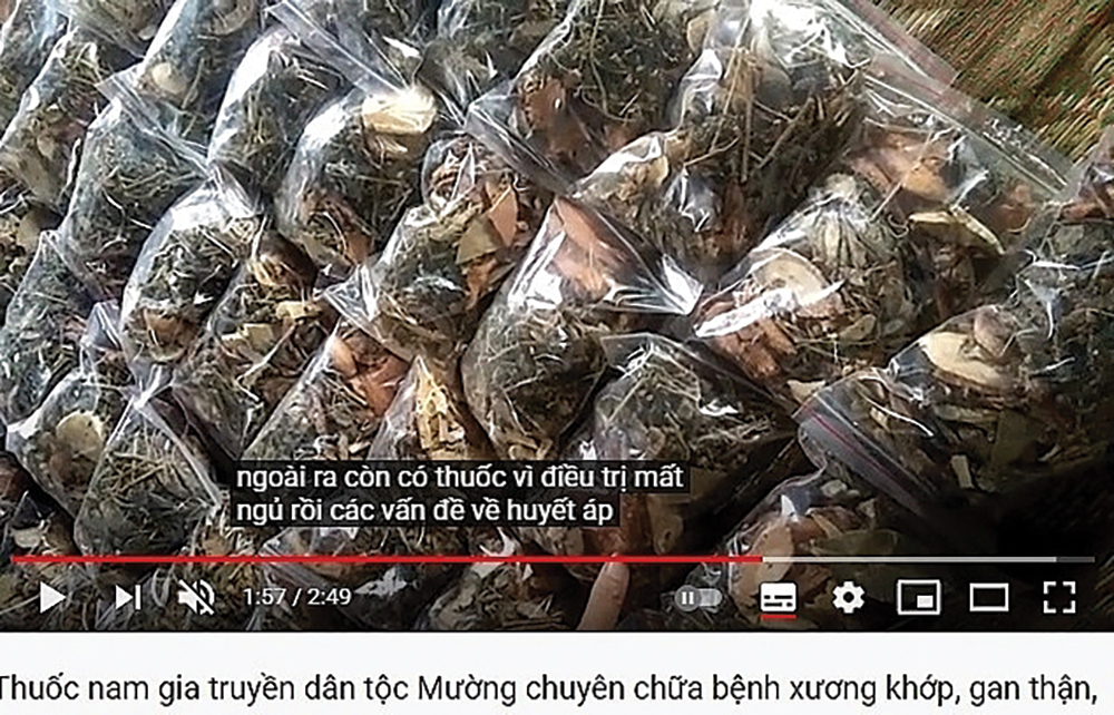 Cẩn Thận Với Thuốc “Gia Truyền”… Trên Mạng! - Báo An Giang Online