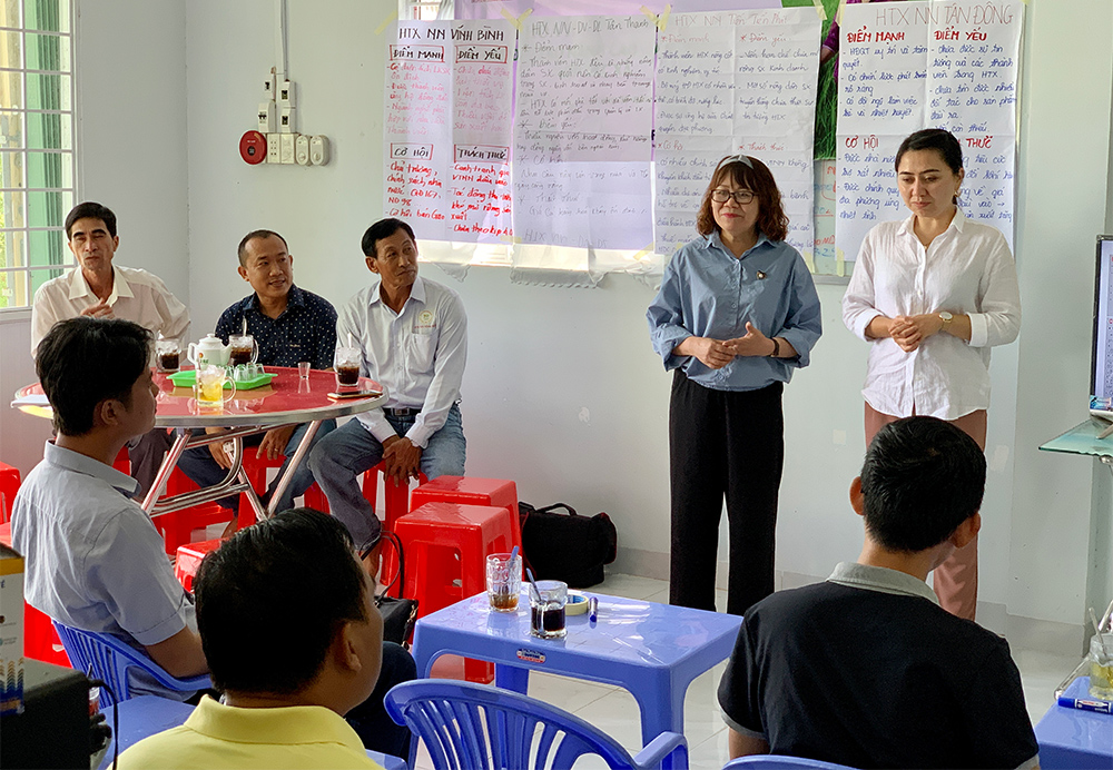 Công ty Tư vấn GFA và Chi cục Phát triển nông thôn An Giang lắng nghe ý kiến của các hợp tác xã sản xuất lúa, gạo