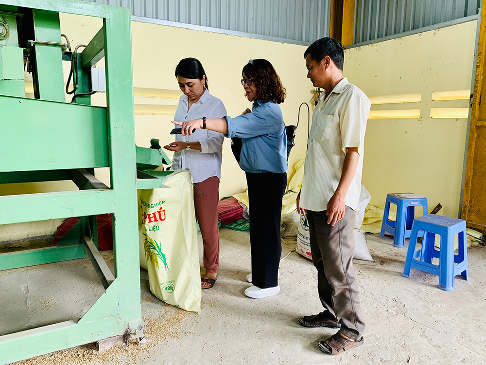 Công ty Tư vấn GFA và Chi cục Phát triển nông thôn An Giang lắng nghe ý kiến của các hợp tác xã sản xuất lúa, gạo