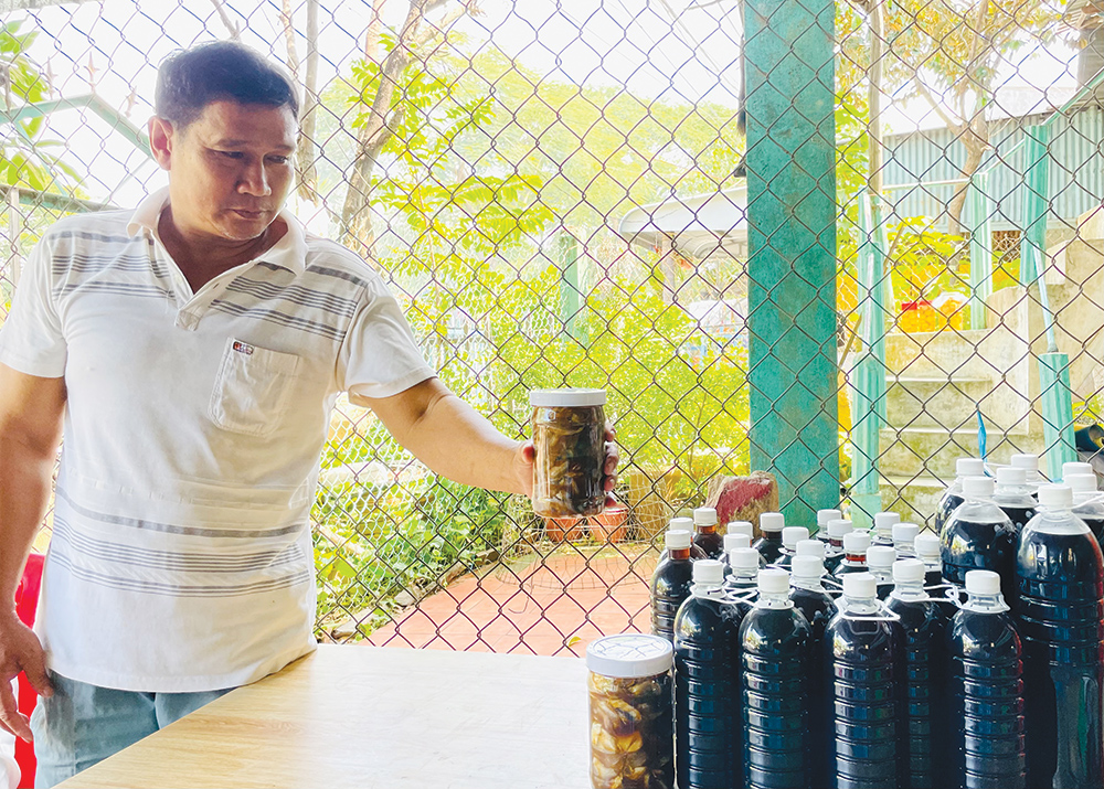 Mặn mòi vị mắm cá đồng