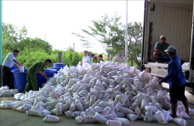 Bạc Liêu: Tiêu hủy hơn 2 triệu con tôm giống không qua kiểm dịch