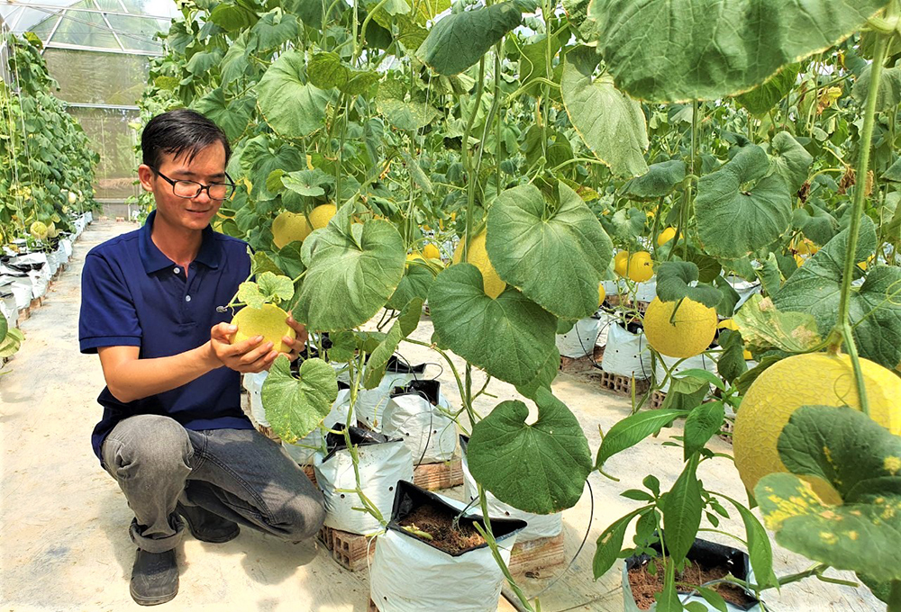 An Giang - truyền thống 190 năm và tầm nhìn trên đường phát triển