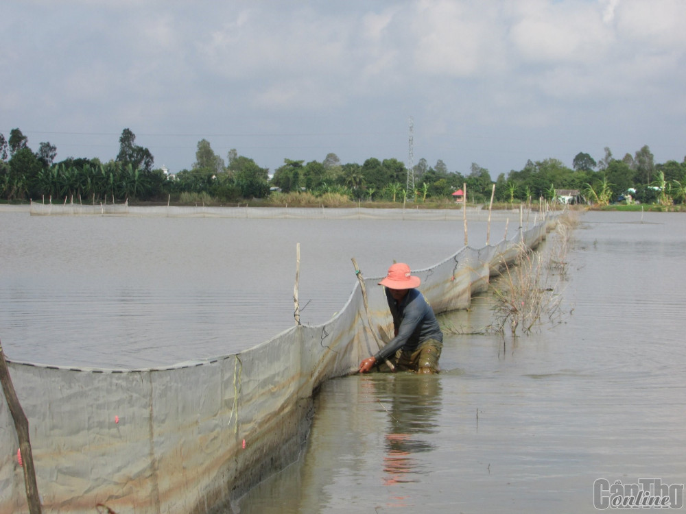 Bảo vệ nguồn tài nguyên nước ở TP Cần Thơ