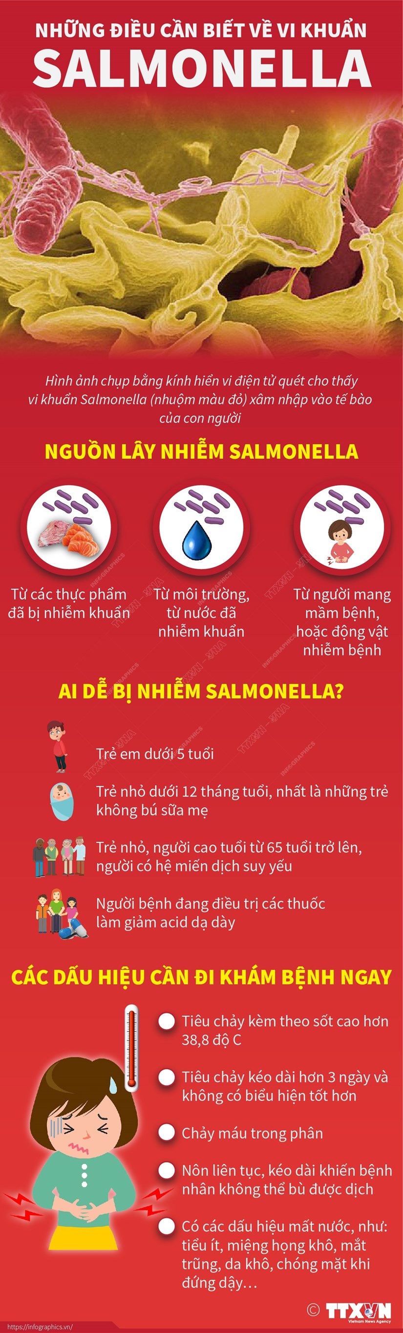 Những điều cần biết về vi khuẩn Salmonella