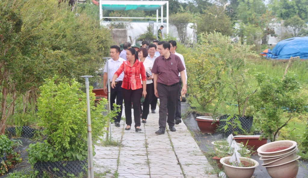 Ban Chỉ đạo Trung ương các Chương trình mục tiêu quốc gia làm việc tại An Giang