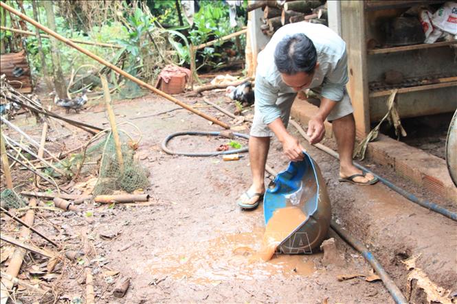 Sốt xuất huyết tiếp tục diễn biến phức tạp và có xu hướng gia tăng