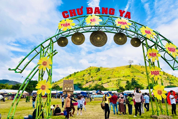 Check-in hoa dã quỳ bạt ngàn, trải nghiệm dù lượn độc đáo ở Gia Lai