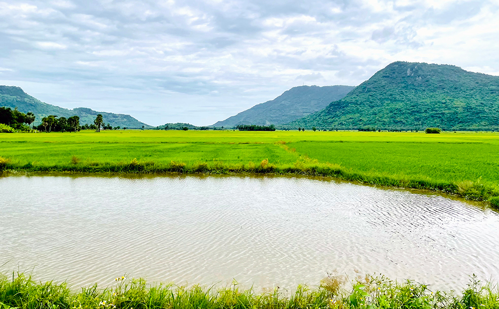 Về núi sống chậm