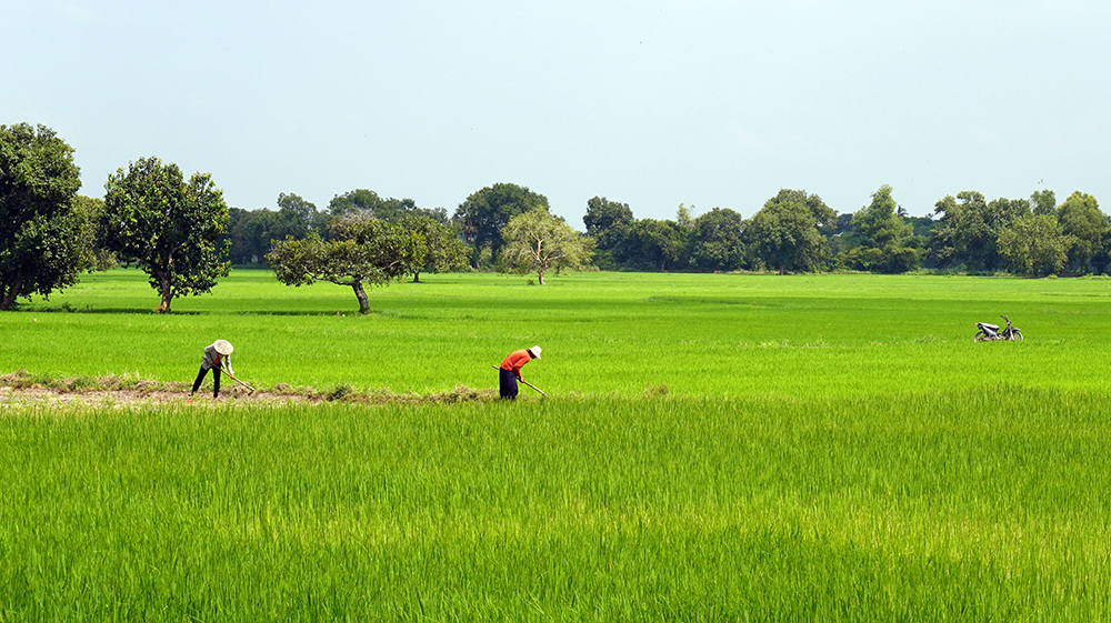 Về núi sống chậm