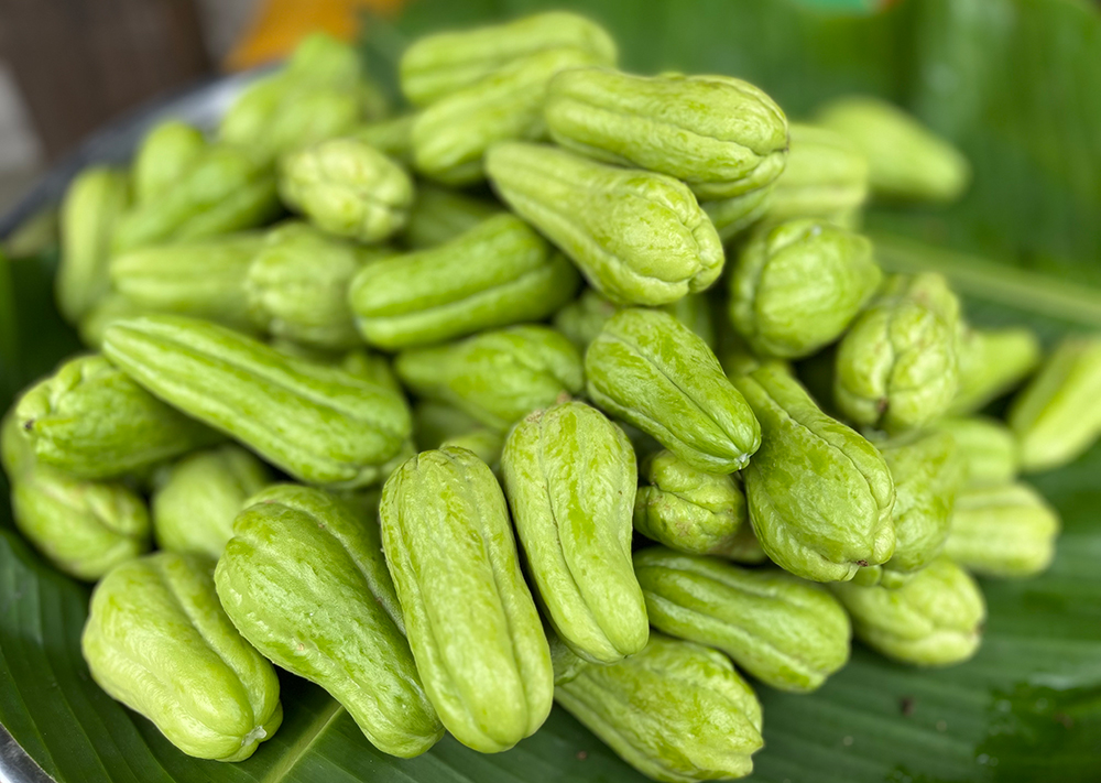 Về núi sống chậm