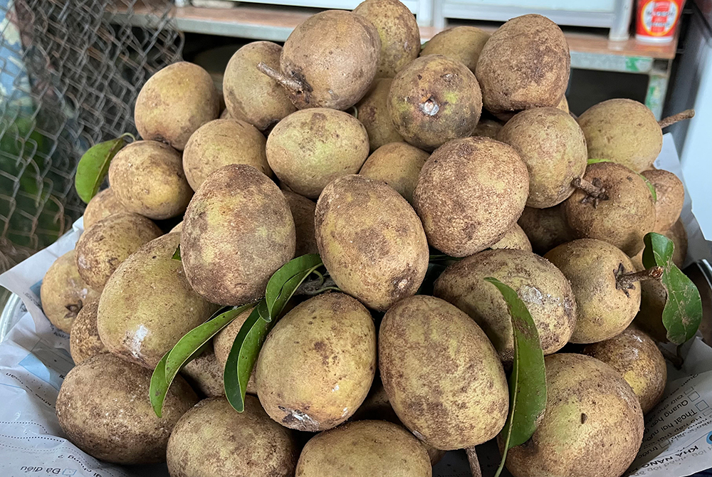 Về núi sống chậm