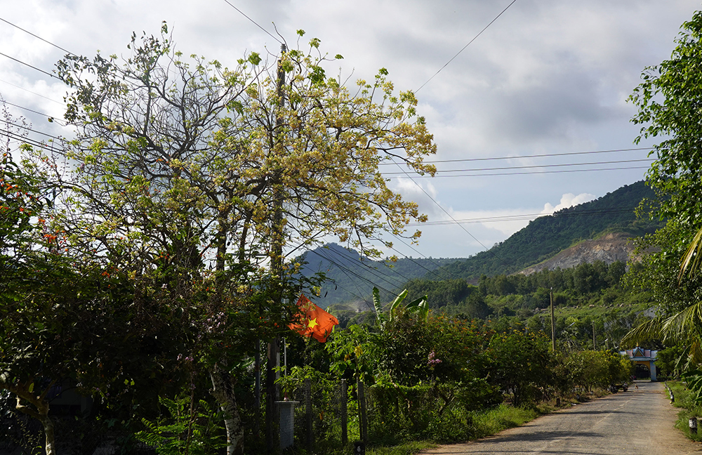 Về núi sống chậm