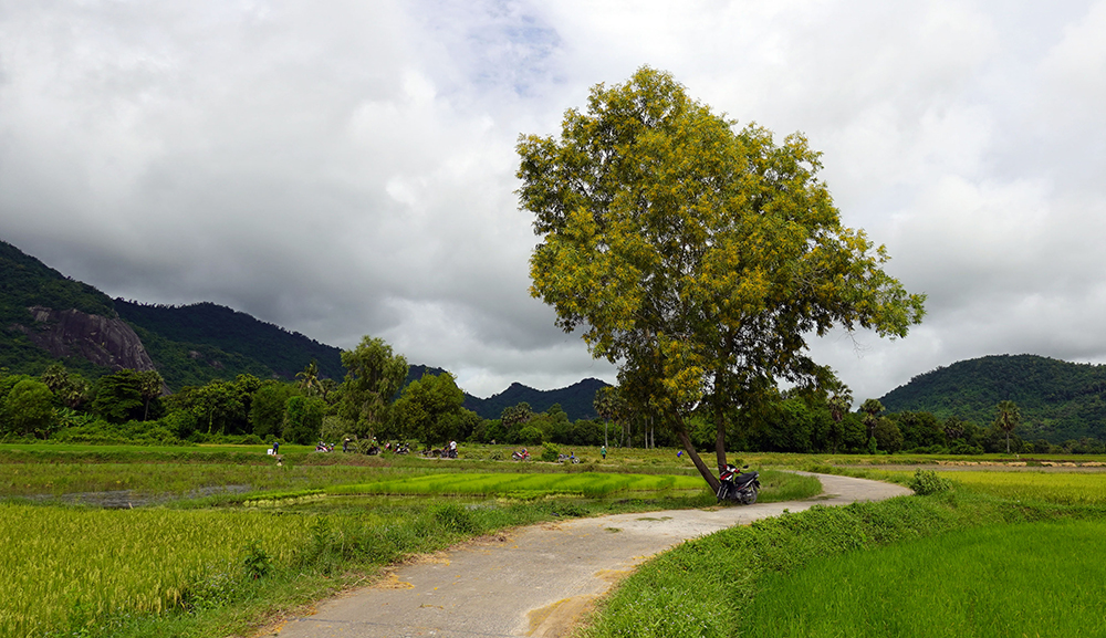 Về núi sống chậm