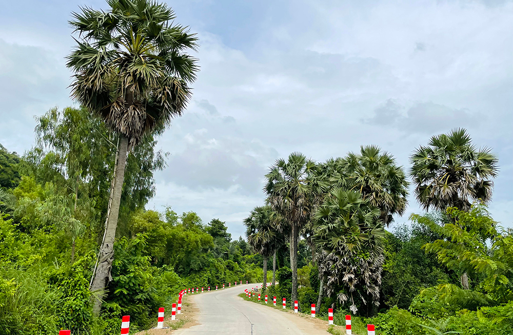 Về núi sống chậm