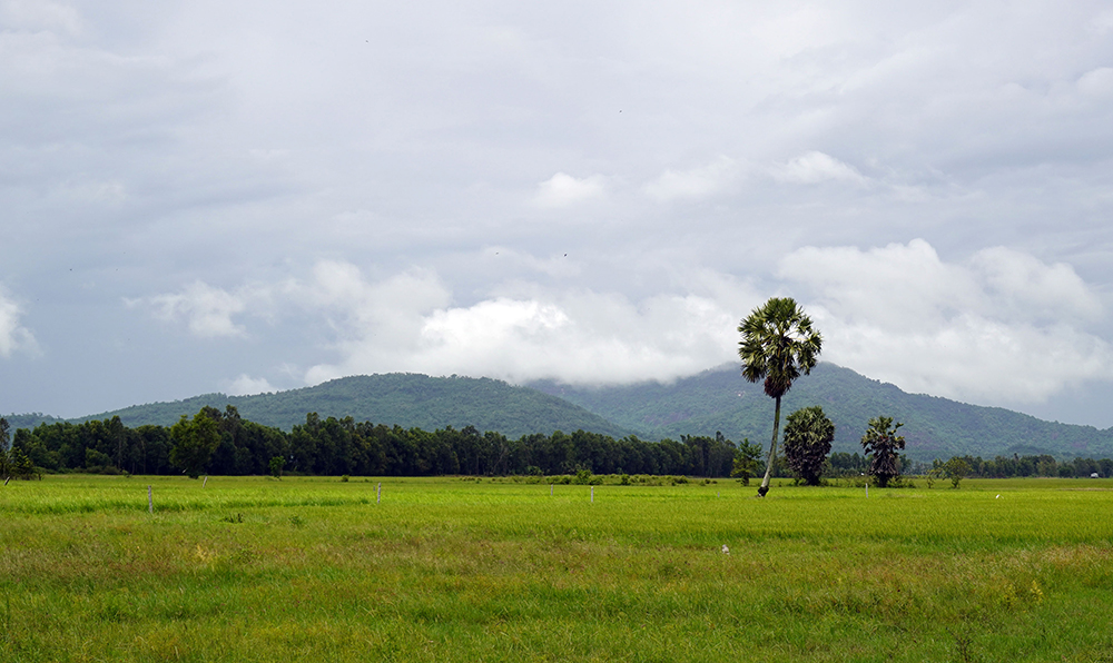 Về núi sống chậm