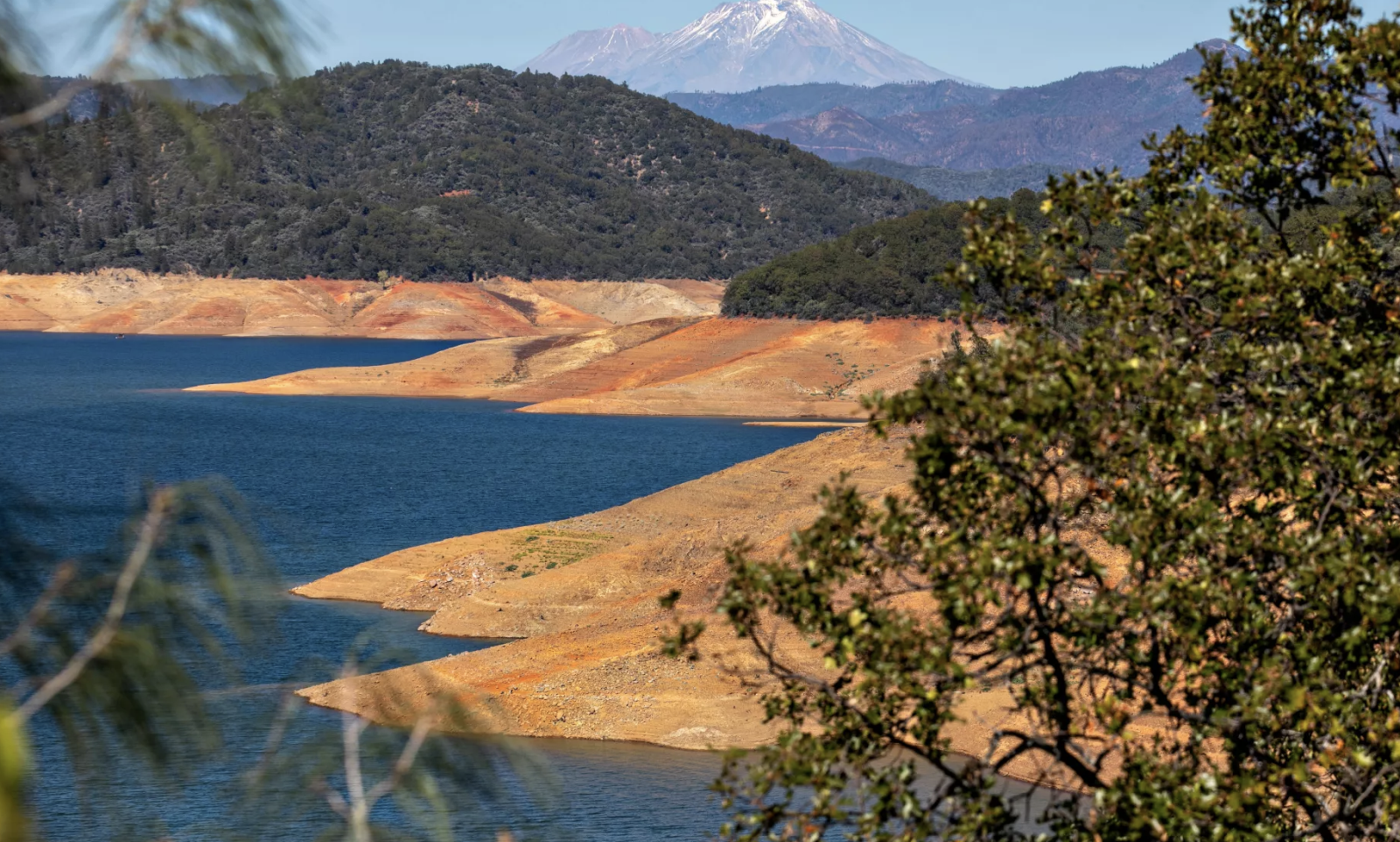Hạn hán lịch sử khiến nông dân California, Mỹ điêu đứng